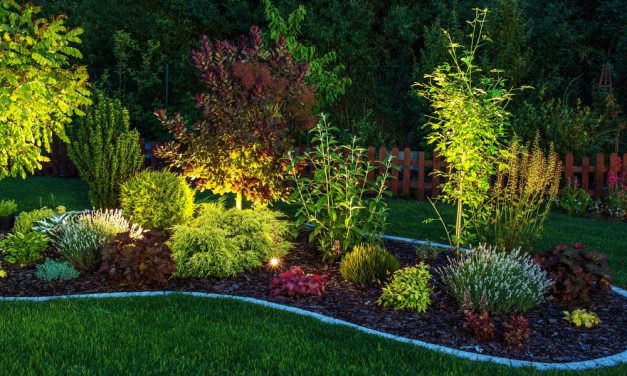 Wie Sie mit den richtigen LED-Außenleuchten großen Effekt im Vorgarten erzeugen